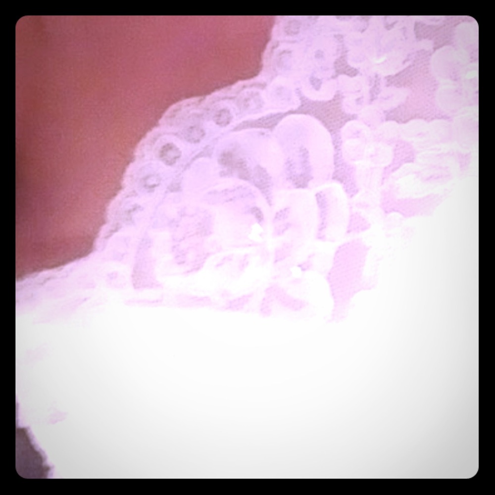 Wedding dress, vail and skirt